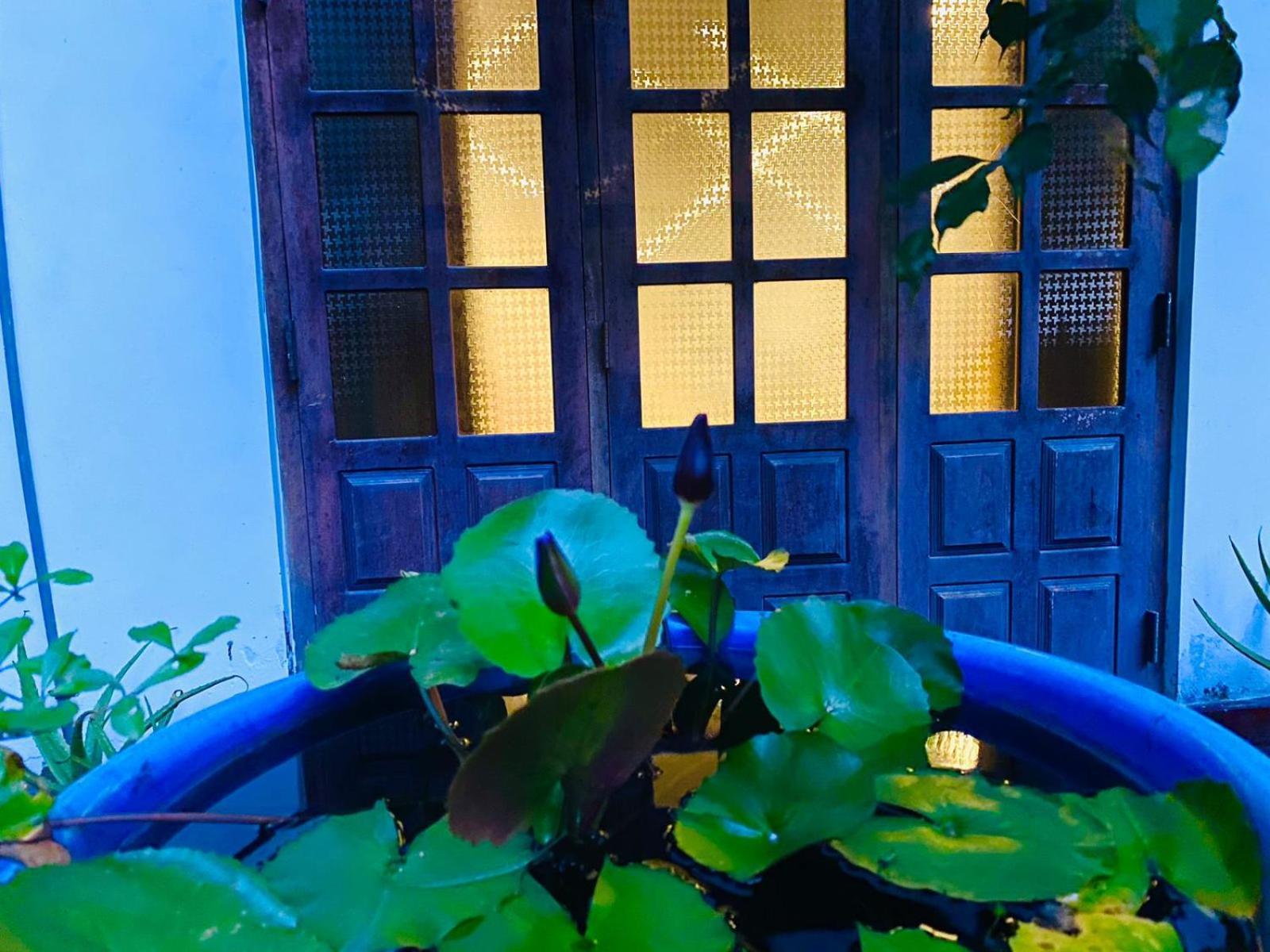 Sachi'S Place แทนกาลเล ภายนอก รูปภาพ